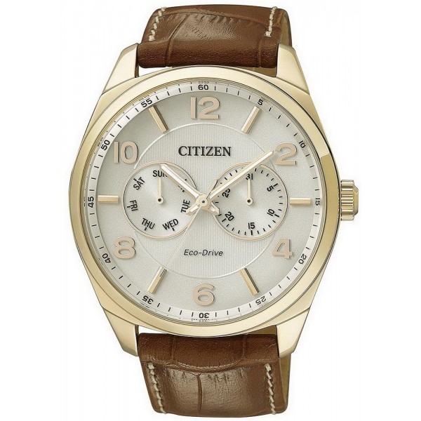 Купить Citizen Мужские Часы Metropolitan Eco-Drive AO9024-16A Многофункциональный