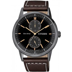 Купить Citizen Мужские Часы Metropolitan Eco-Drive BU3027-16E