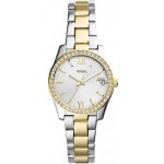 Acquistare Orologio Fossil Donna Scarlette Mini ES4319 Quartz