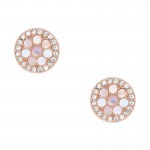 Acheter Boucles d'Oreilles Femme Fossil Vintage Glitz JF02906791