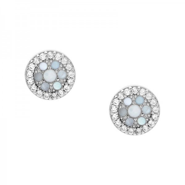 Acheter Boucles dOreilles Femme Fossil Sterling Silver JFS00518040 Nacre