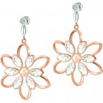 Buy Morellato Ladies Earrings Fioremio SABK27