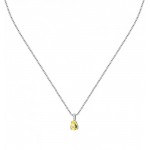 Imagen del Collar Morellato Tesori Mujer SAIW194